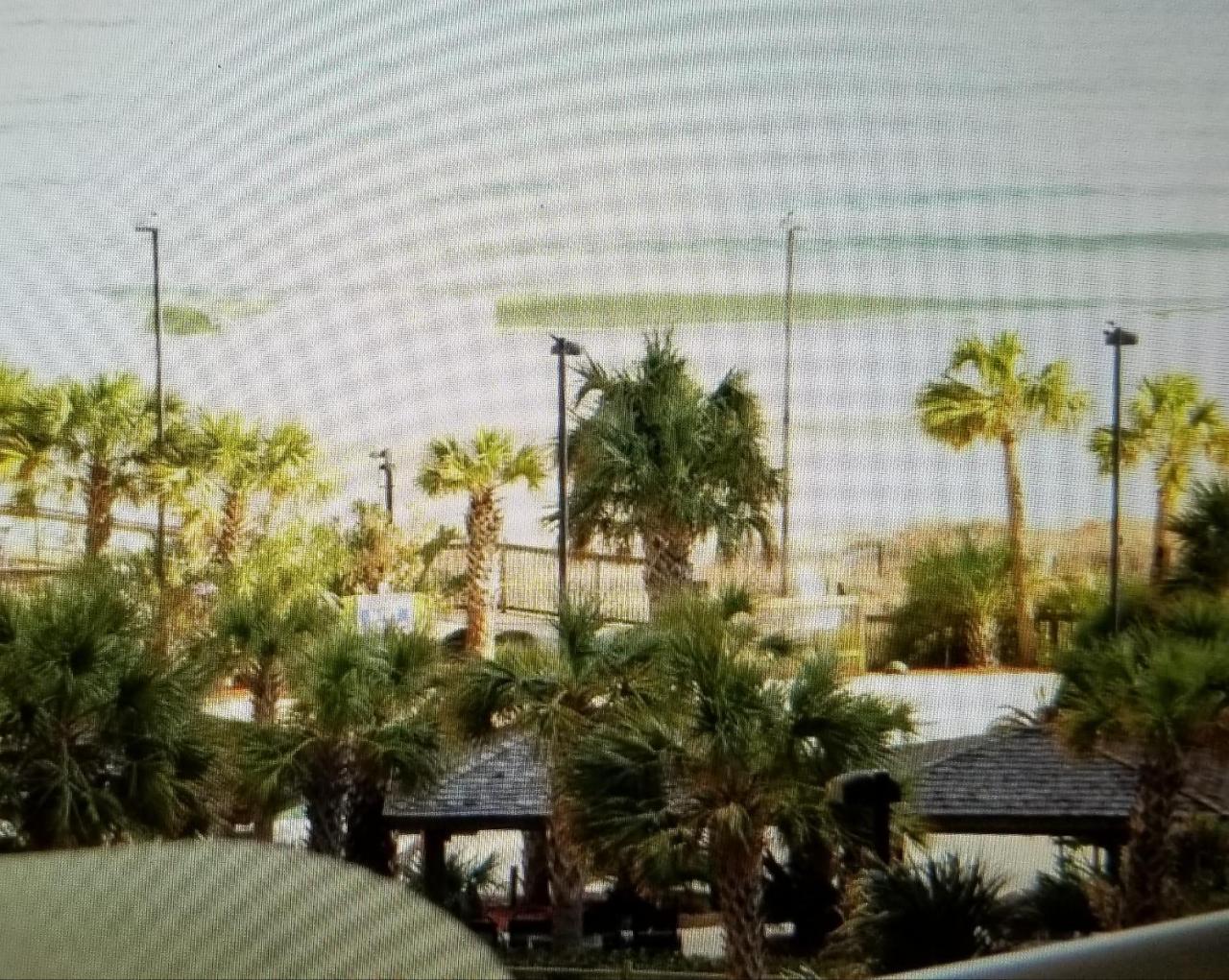 Briarcliffe Acres Royal Palms Apartment מראה חיצוני תמונה